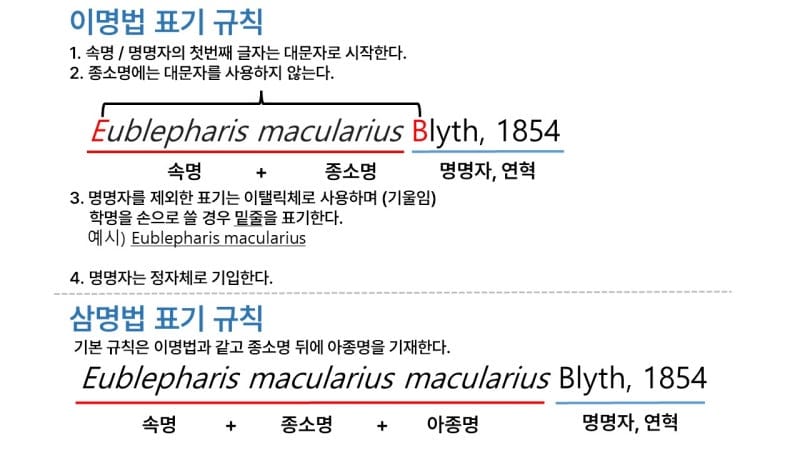 시리즈 | Paleontology - 3. 생물분류