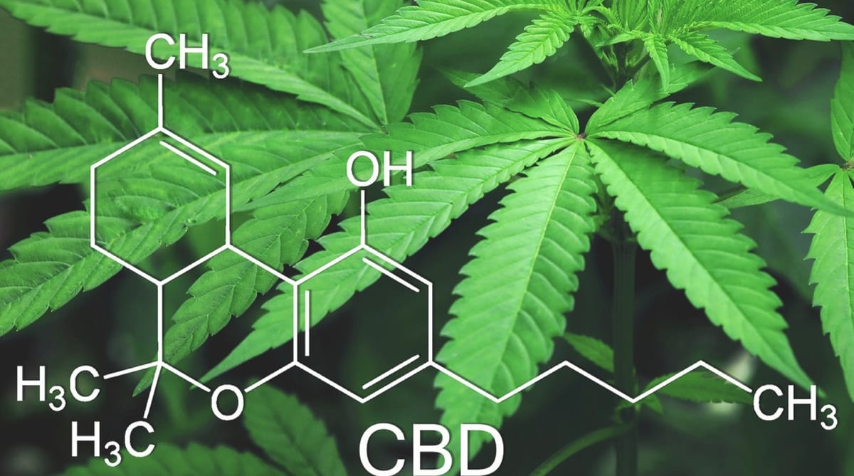 시리즈 | Organic Chemistry - 1. 골격 구조식과 작용기