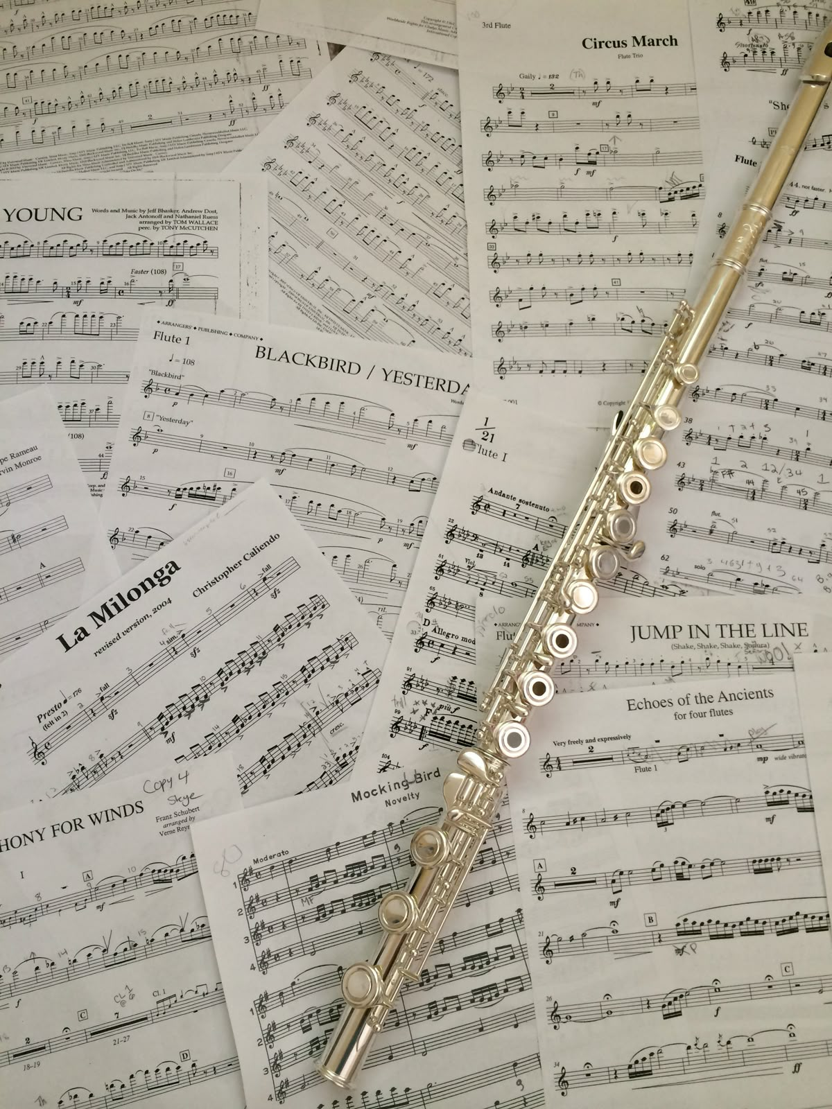 시리즈 | Music - 4. Flute