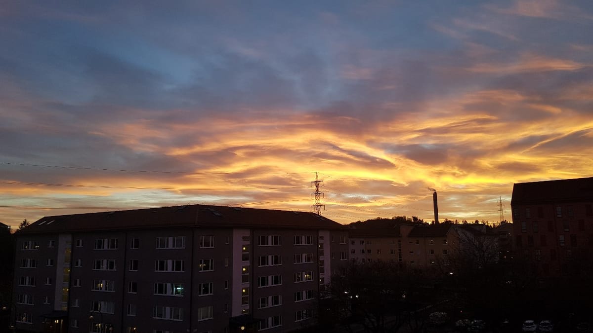 2025 KSA 백일장 운문 분야 우수상 수상작 <그늘 속 리듬>