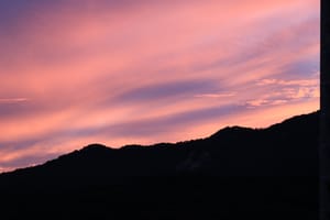 영화 단평