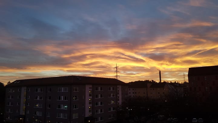 2025 KSA 백일장 운문 분야 우수상 수상작 <그늘 속 리듬>