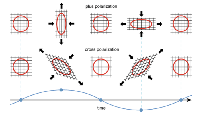 시리즈 | Gravitational Wave Astronomy - 3. Polarization of Gravitational Waves